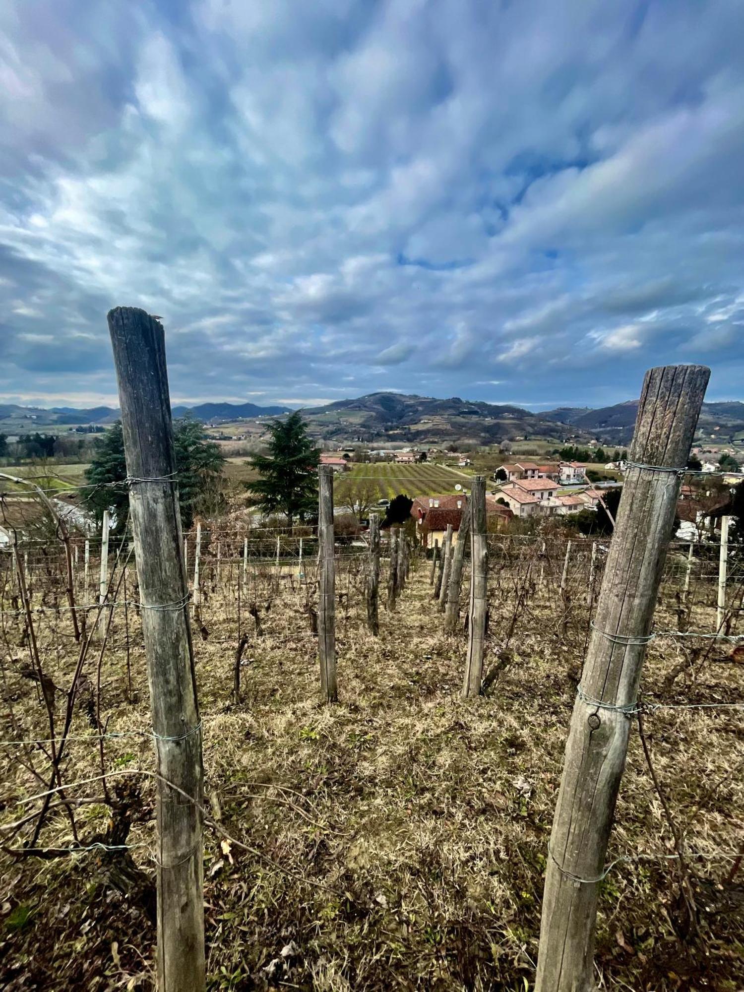 Poderi Zunino * Ponti