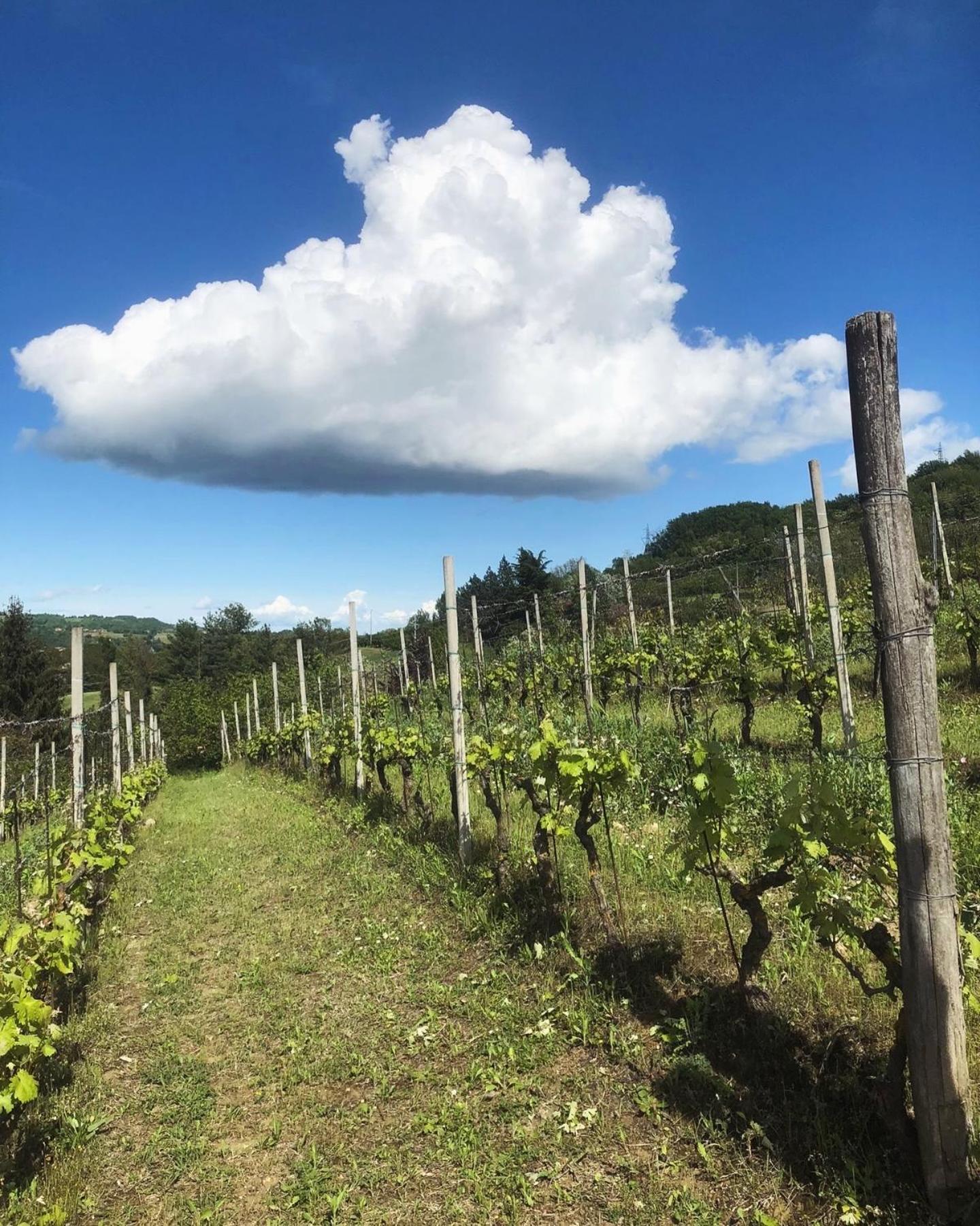 Farm stay Poderi Zunino Ponti