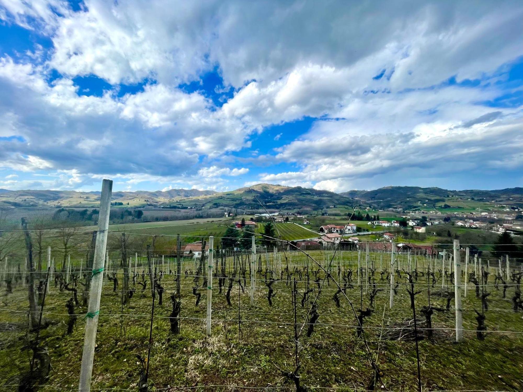 Poderi Zunino Ponti