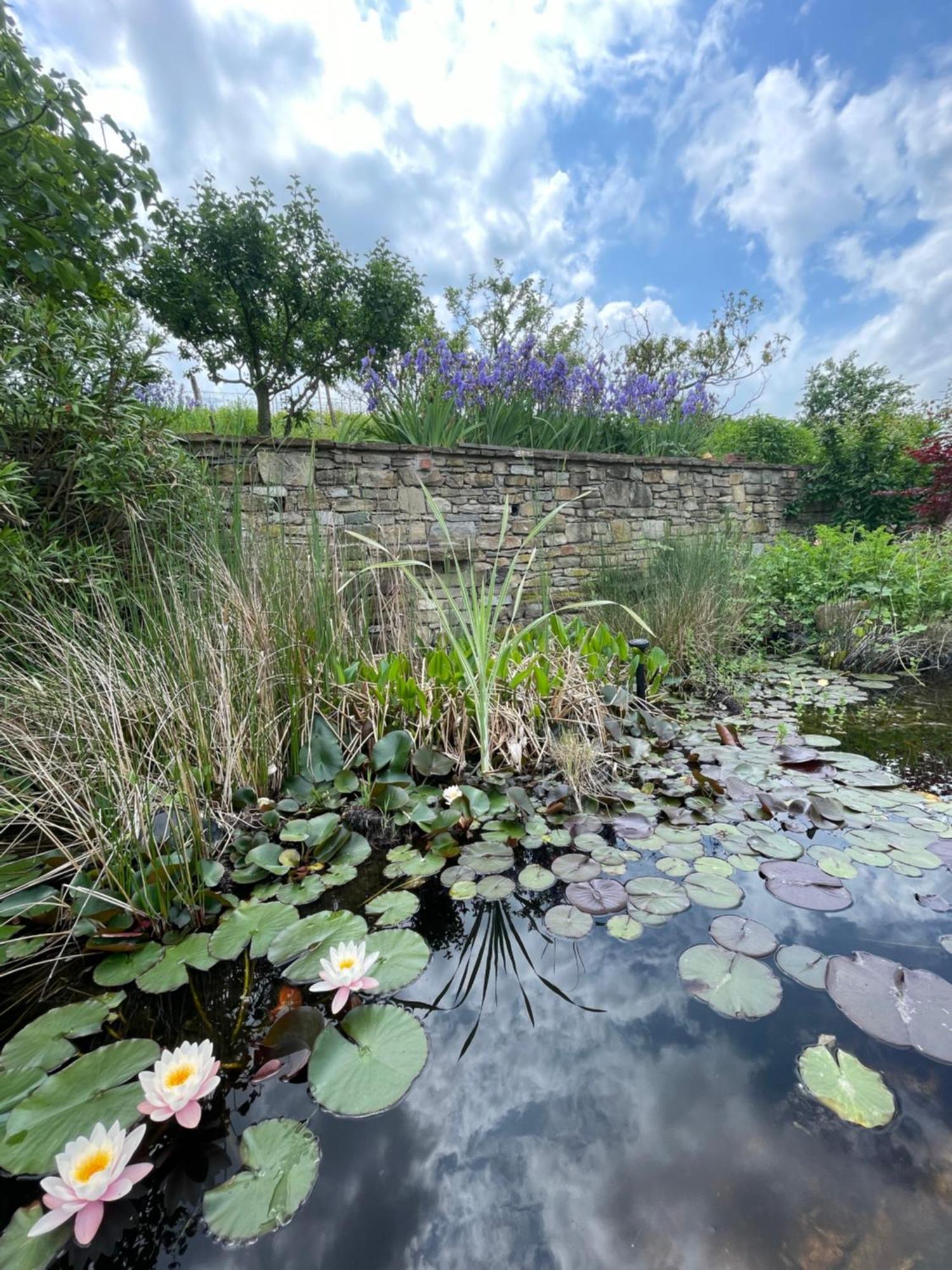 Farm stay Poderi Zunino Ponti