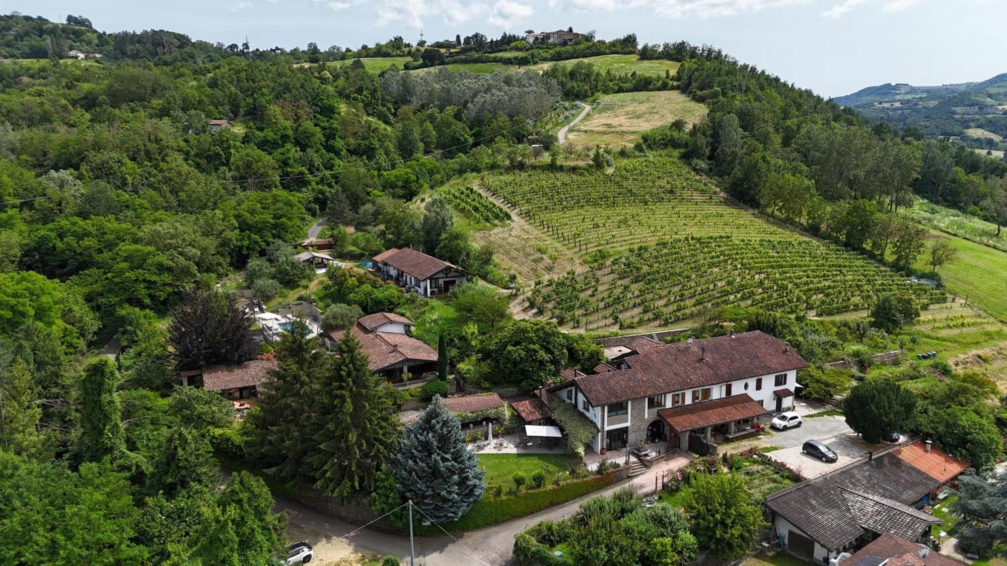 Poderi Zunino Ponti
