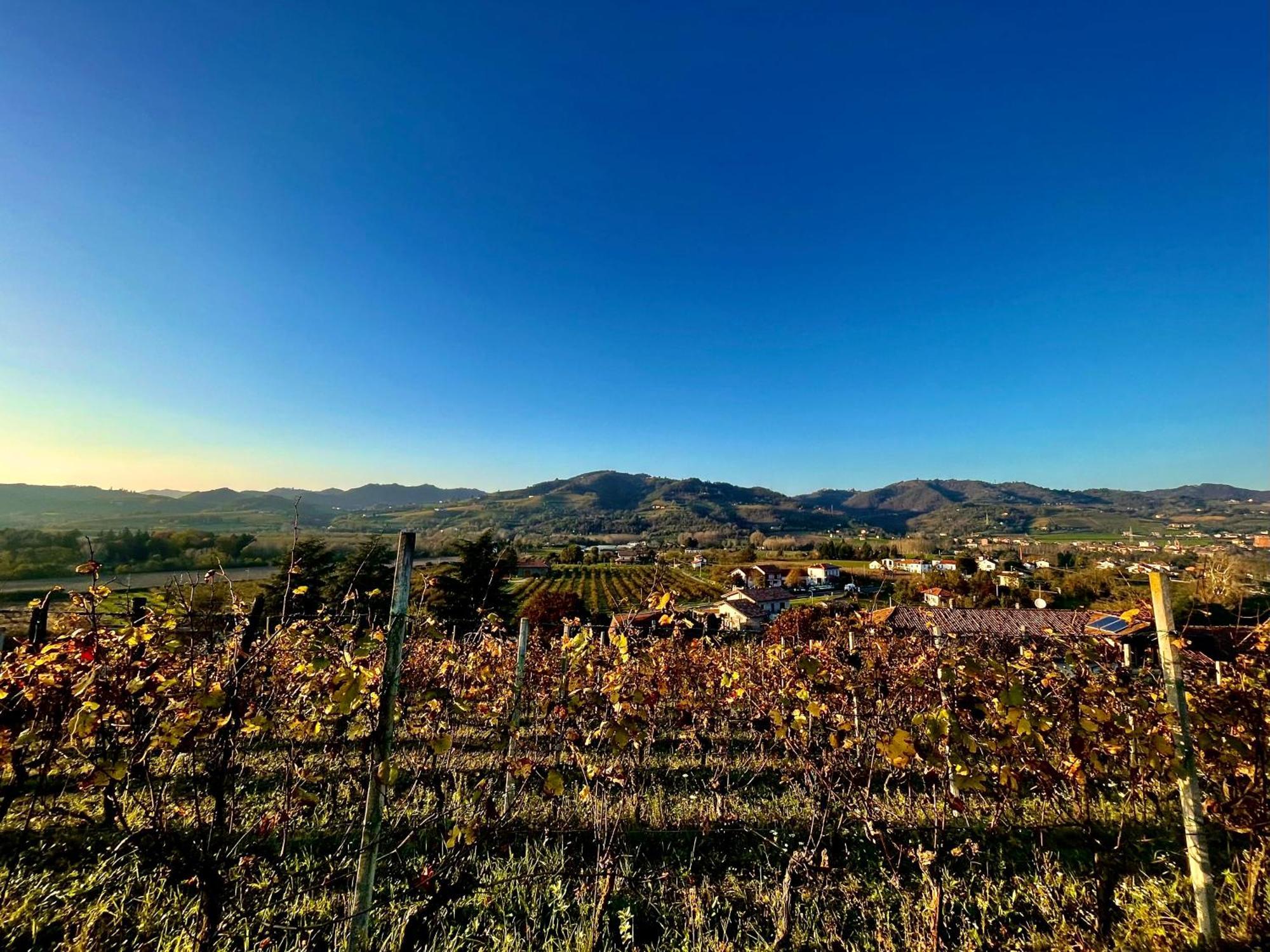 Farm stay Poderi Zunino Ponti