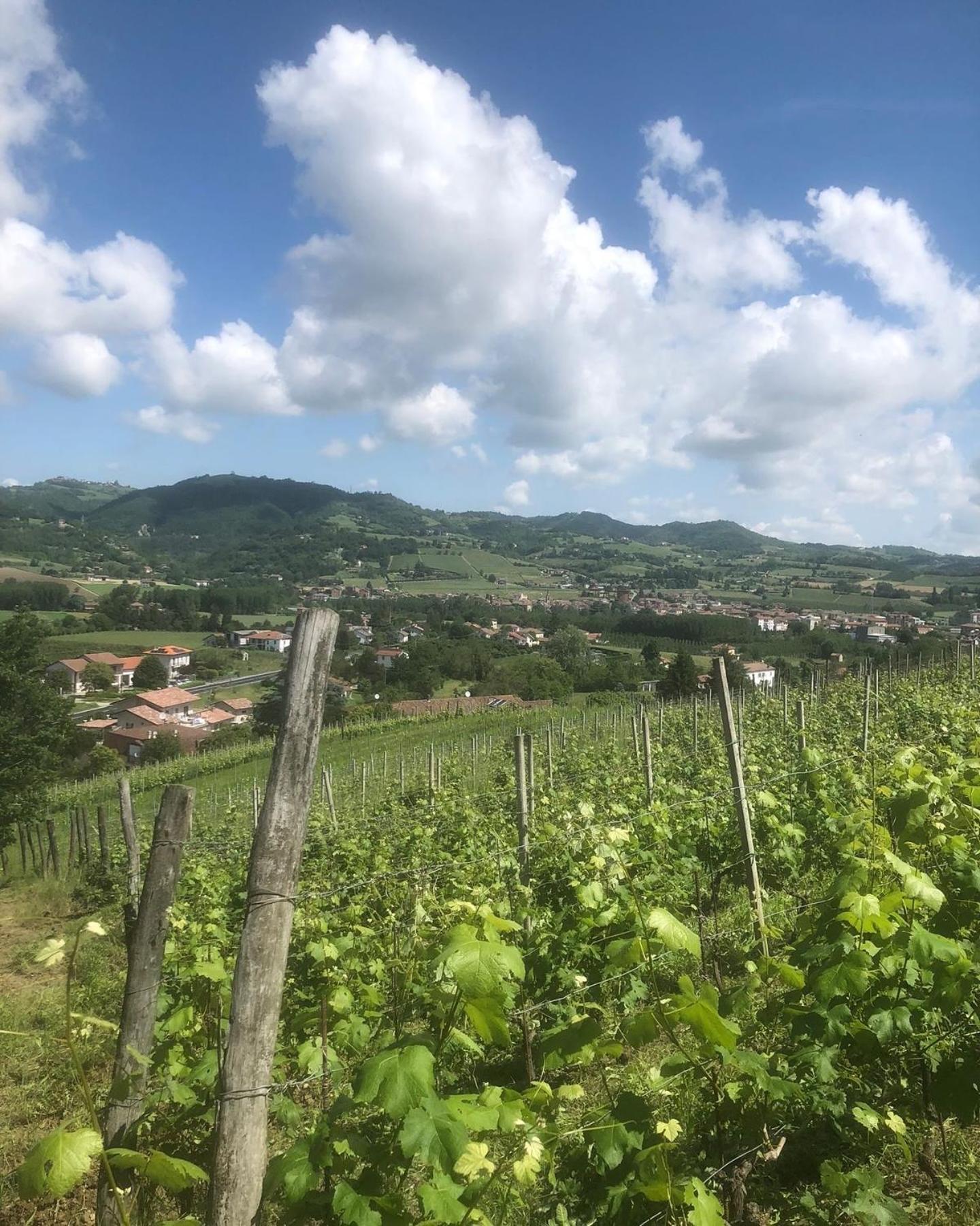 Poderi Zunino Ponti