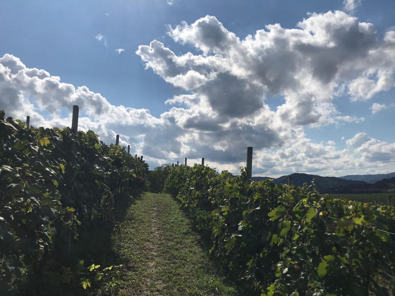 Farm stay Poderi Zunino