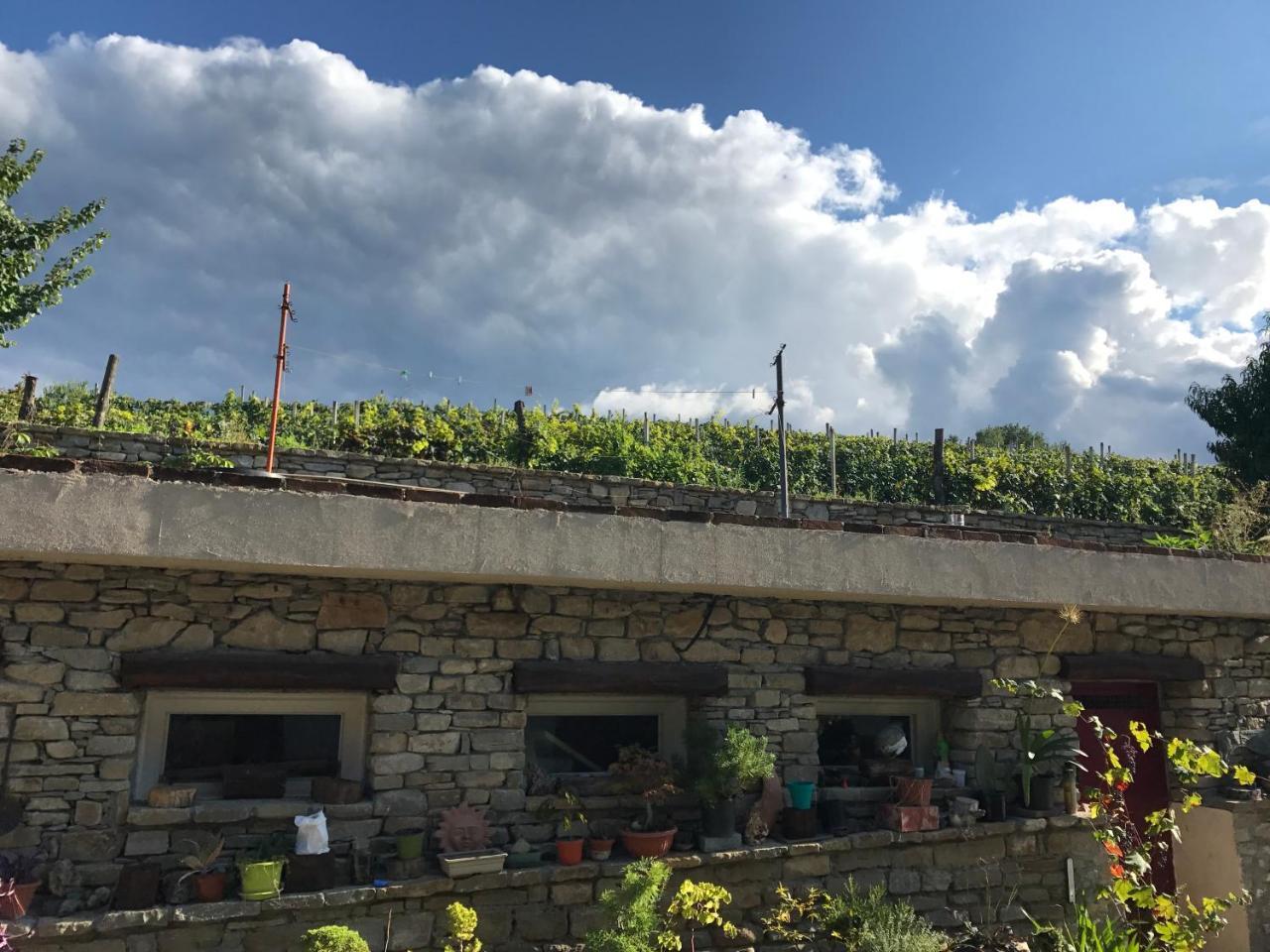 Farm stay Poderi Zunino